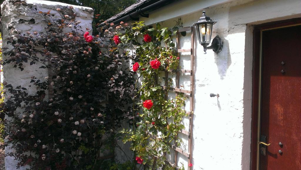Whitestone Cottage 턴베리 객실 사진